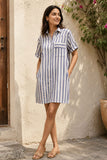Blue Stripe | Wayfarer