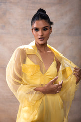 Zaira | Organza Shirt Set
