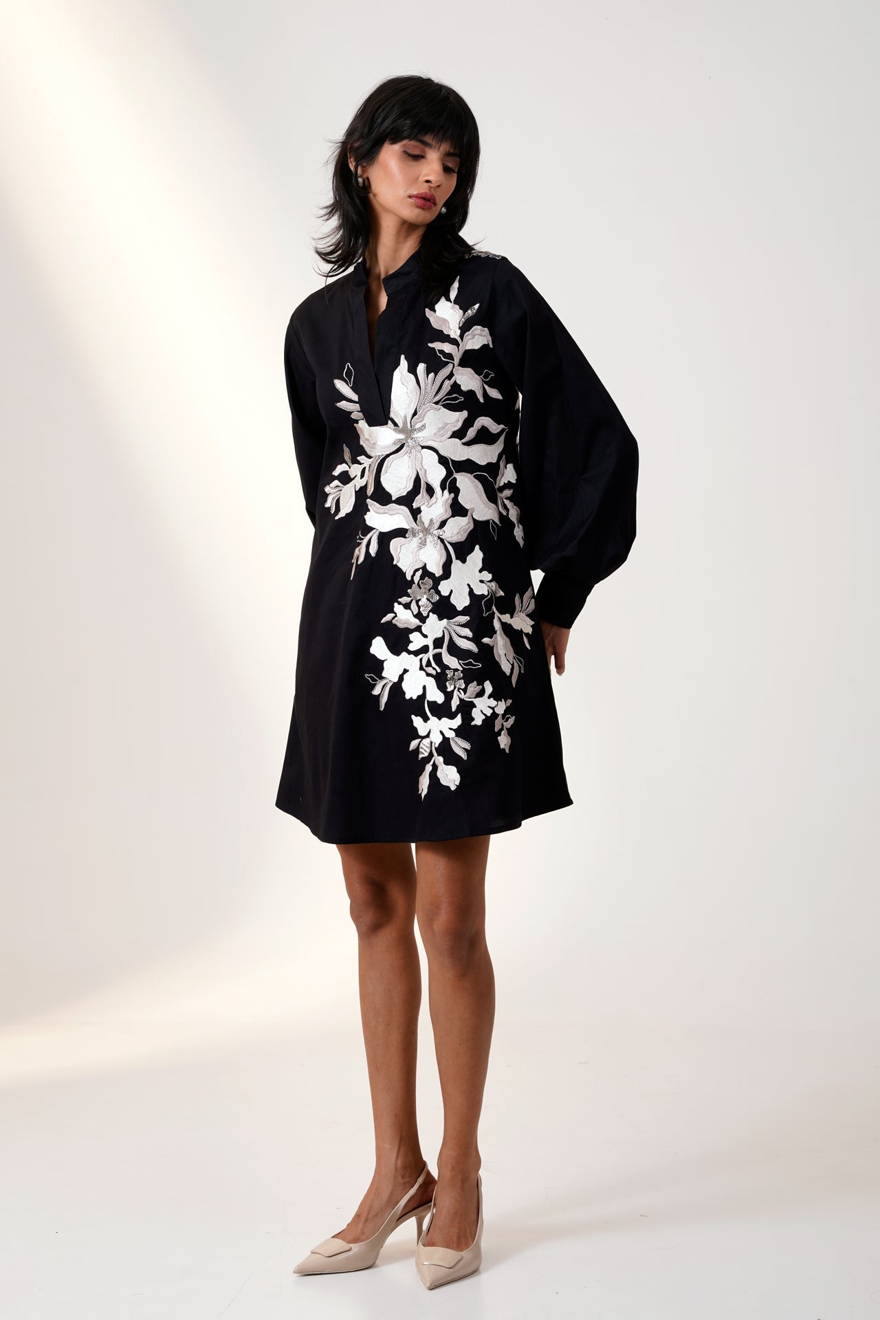 Aquarius | Rinata Iii